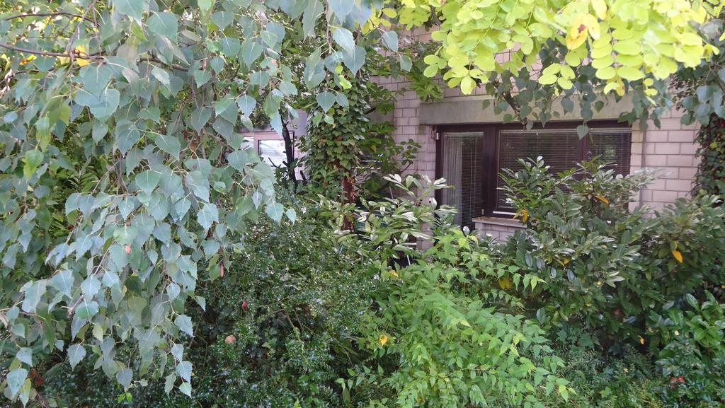 Guest Unterbach Apartment *